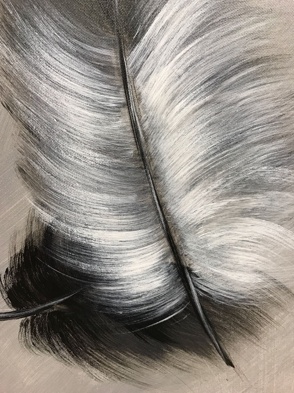 FeatherGrey - obrazek 4