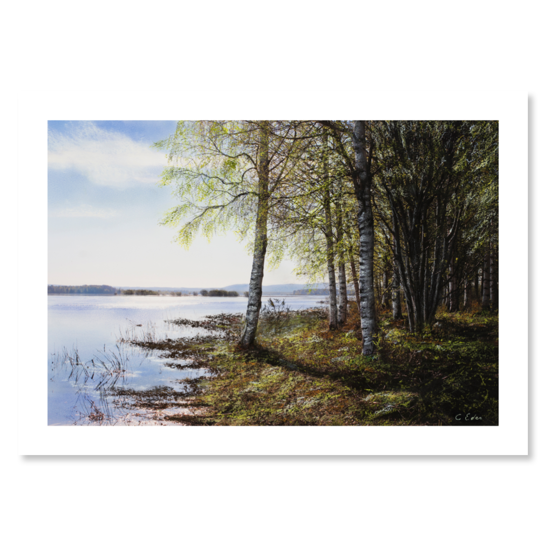 En poster med björkar