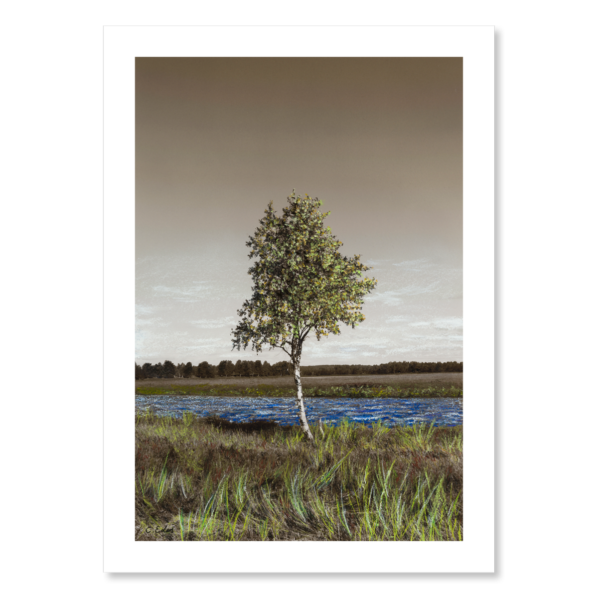 A poster with a birch tree