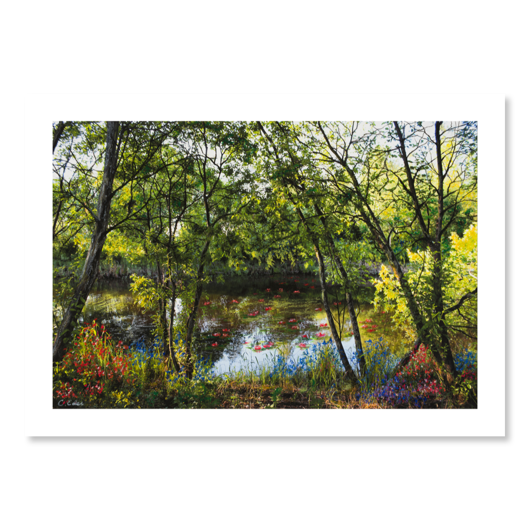 Ein Poster mit Seerosen